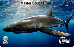 PADI Master Scuba Diver лиц. сторона